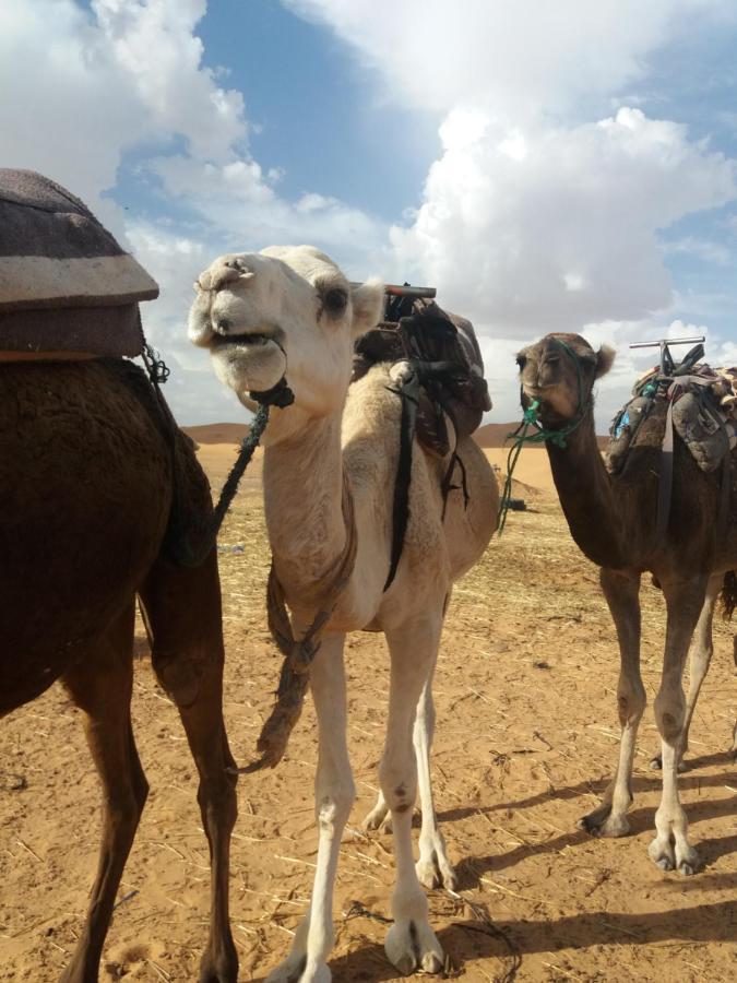 Nomad House Hotel Merzouga Bagian luar foto